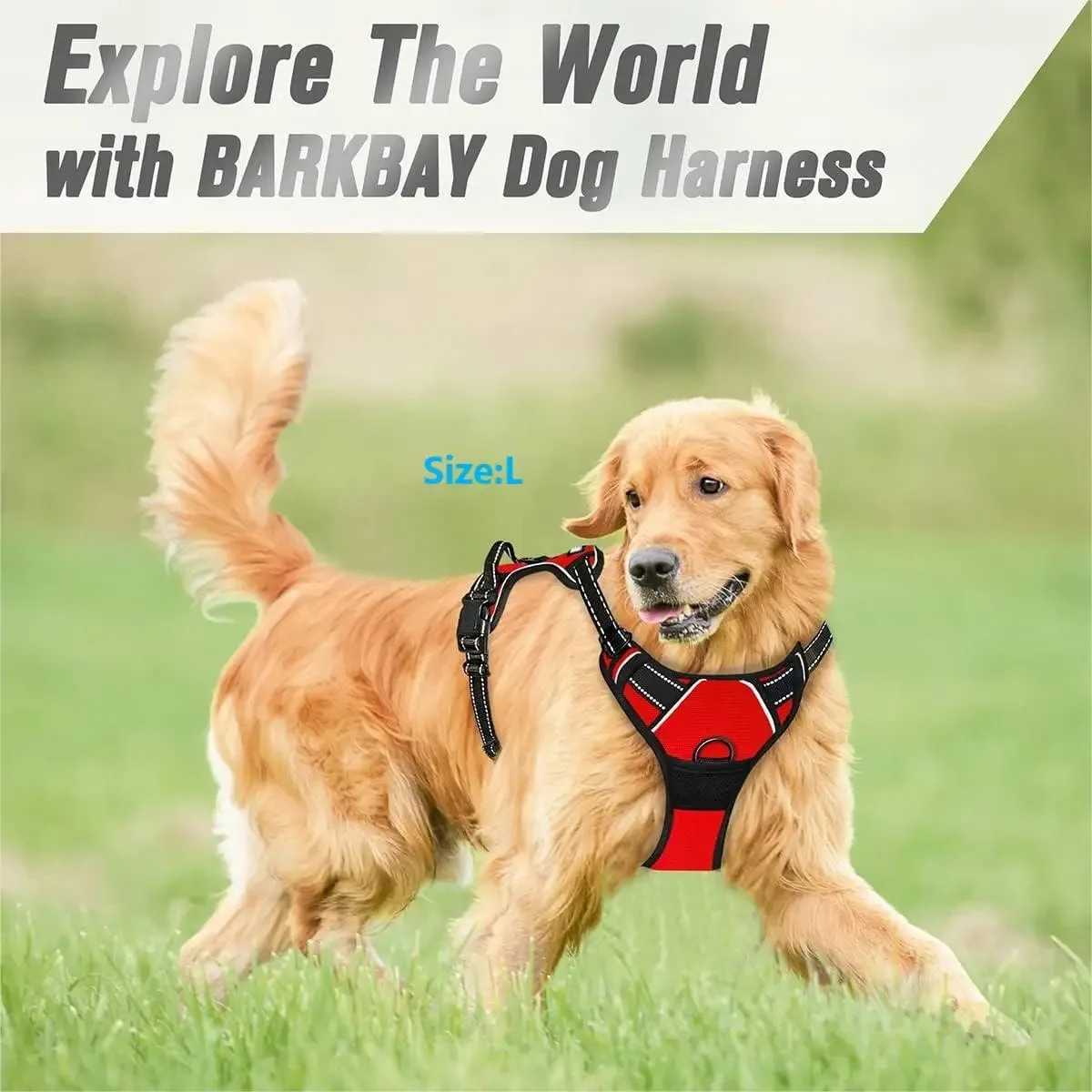 Dog collar harness vest belt pet store dog leather puppy accessories small and medium-sized sets W250219
