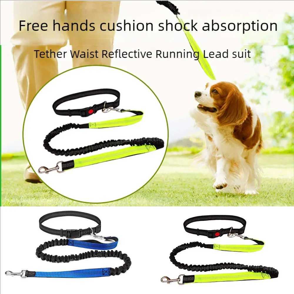 Reflective Leash Traction Rope Pet Dog Running Belt Elastic Hands Freely Jogging Pull Dog Leash Metal D-ring Leashes HarnessXJ250218