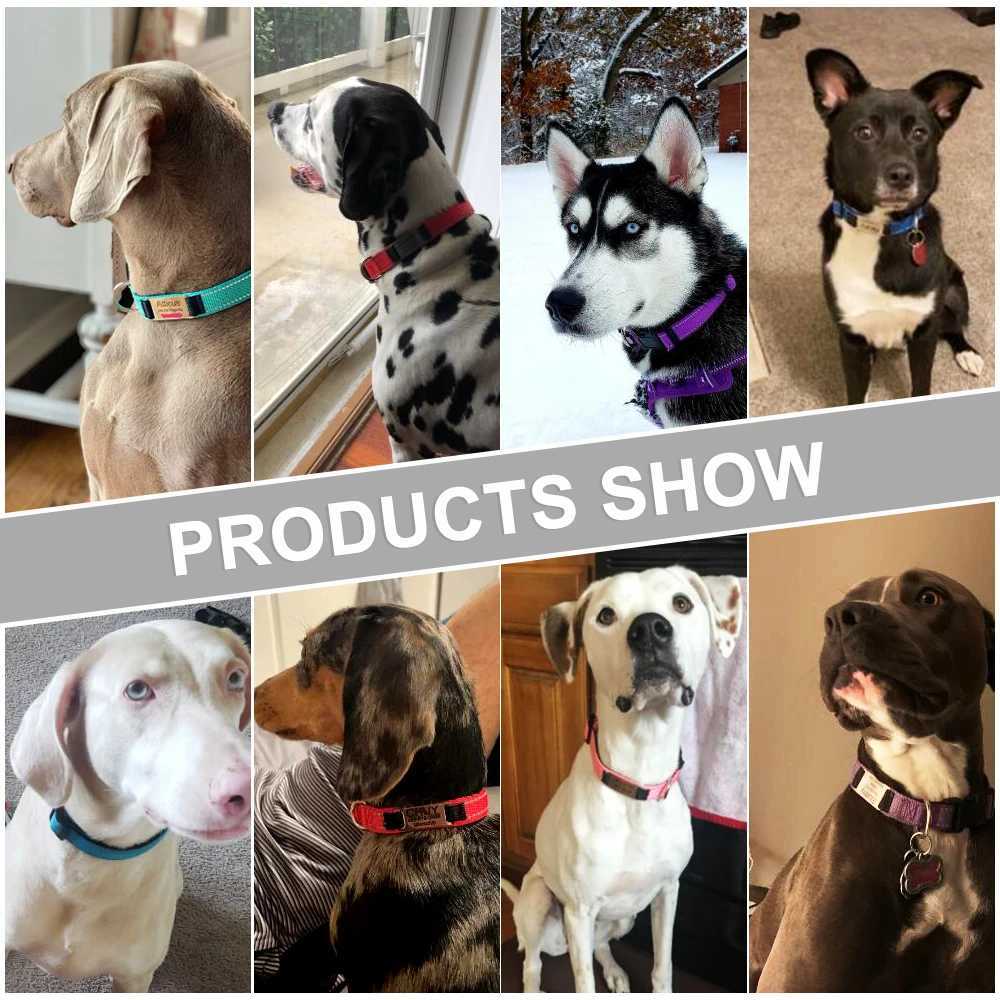 Adjustable Reflective Dog Collar Nylon Custom Name ID Tag Personized Luminous Puppy Gleamy Large Unisex Dog Collar W250219