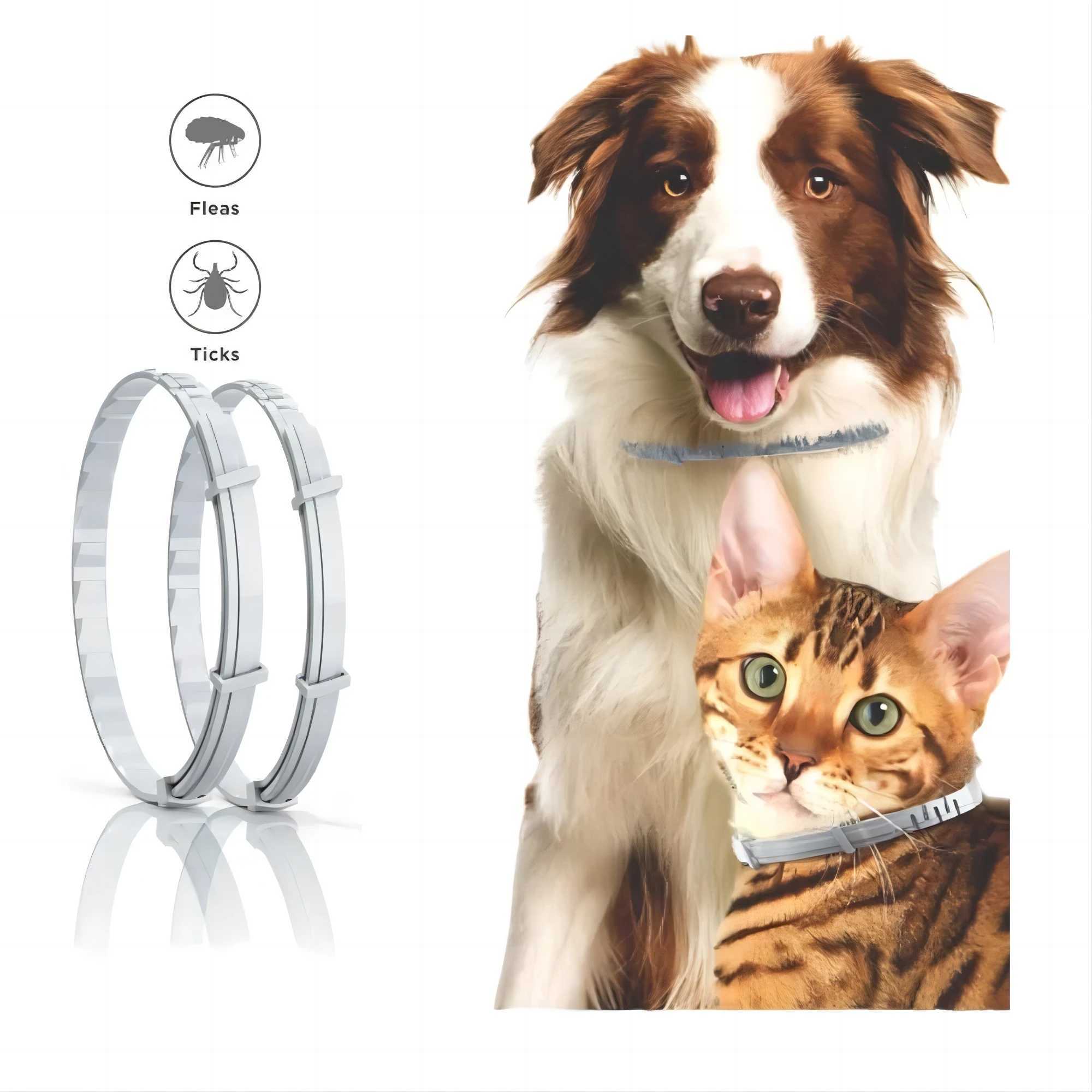 Dog Collar Puppy Cat 70cm 38cm For Small Dogs Cats Collar Pet Items Accessories Dropshipping SuppliersXJ250218