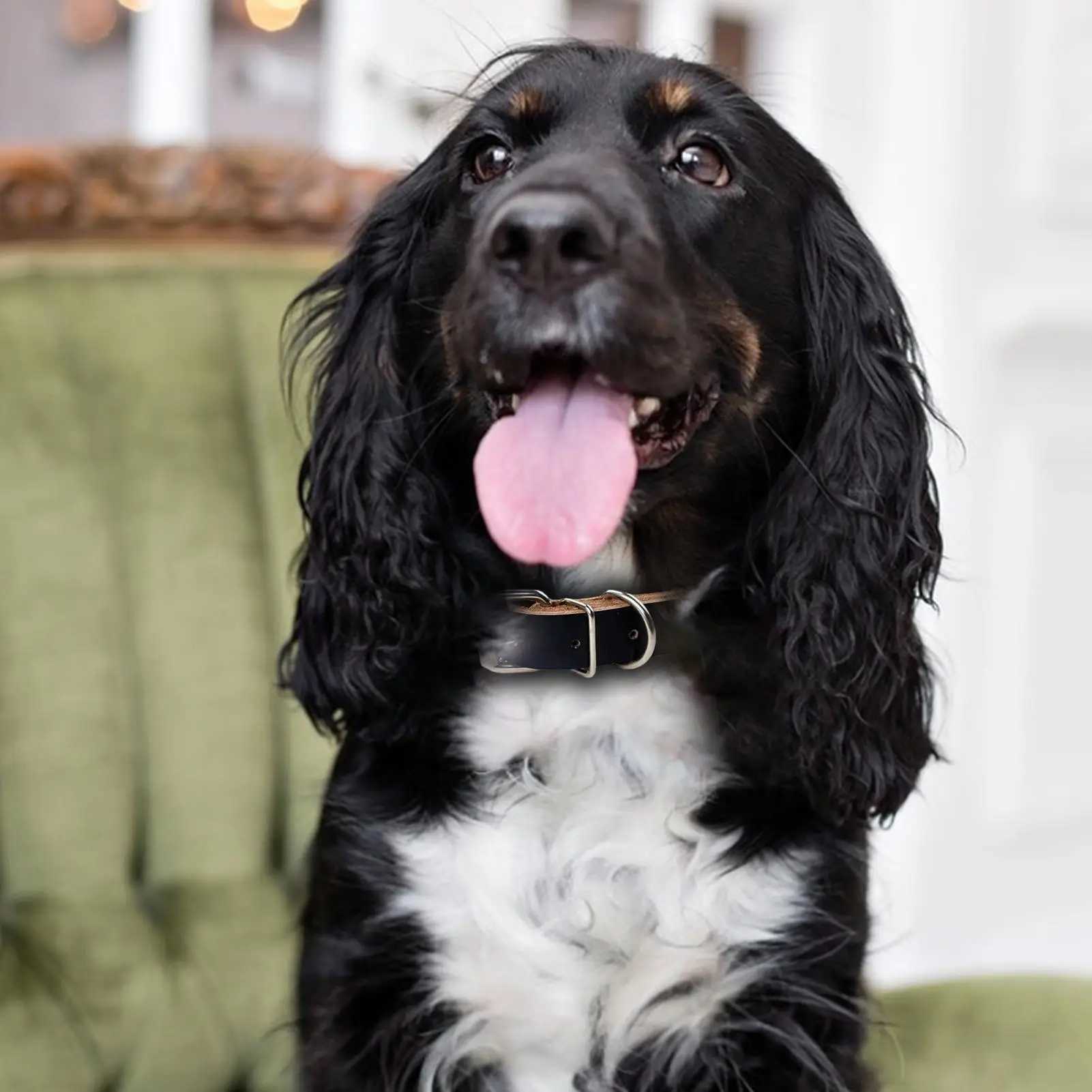 Scroll dog collar leather adjustable metal buckle collar for dog pet supplies for medium and large dog gifts W250219