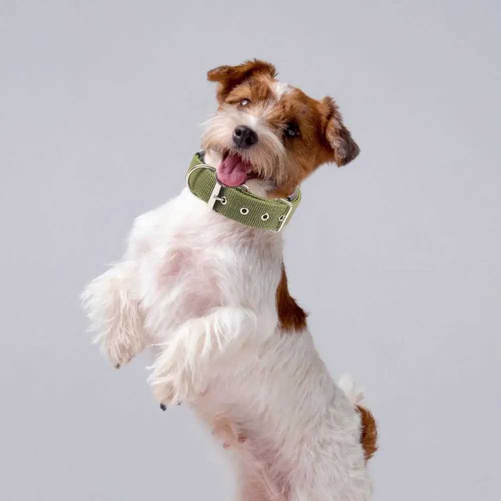 Dog CollarsNylonAdjustable Dog Neck CircleLong-lasting Pet Neck Strapwith Traction RingTeddy Keji PitbullPet SuppliesXJ250218