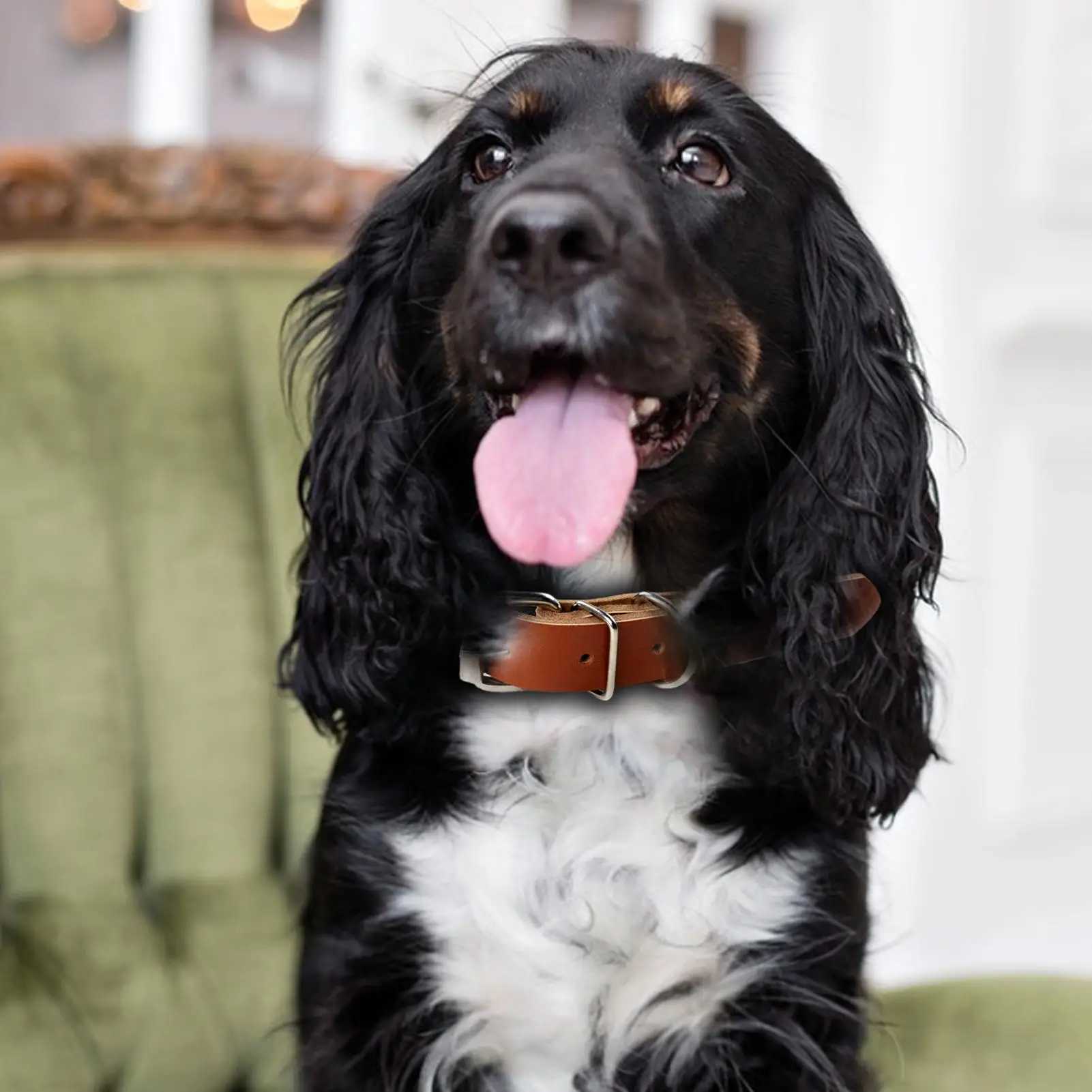 Scroll dog collar leather adjustable metal buckle collar for dog pet supplies for medium and large dog gifts W250219