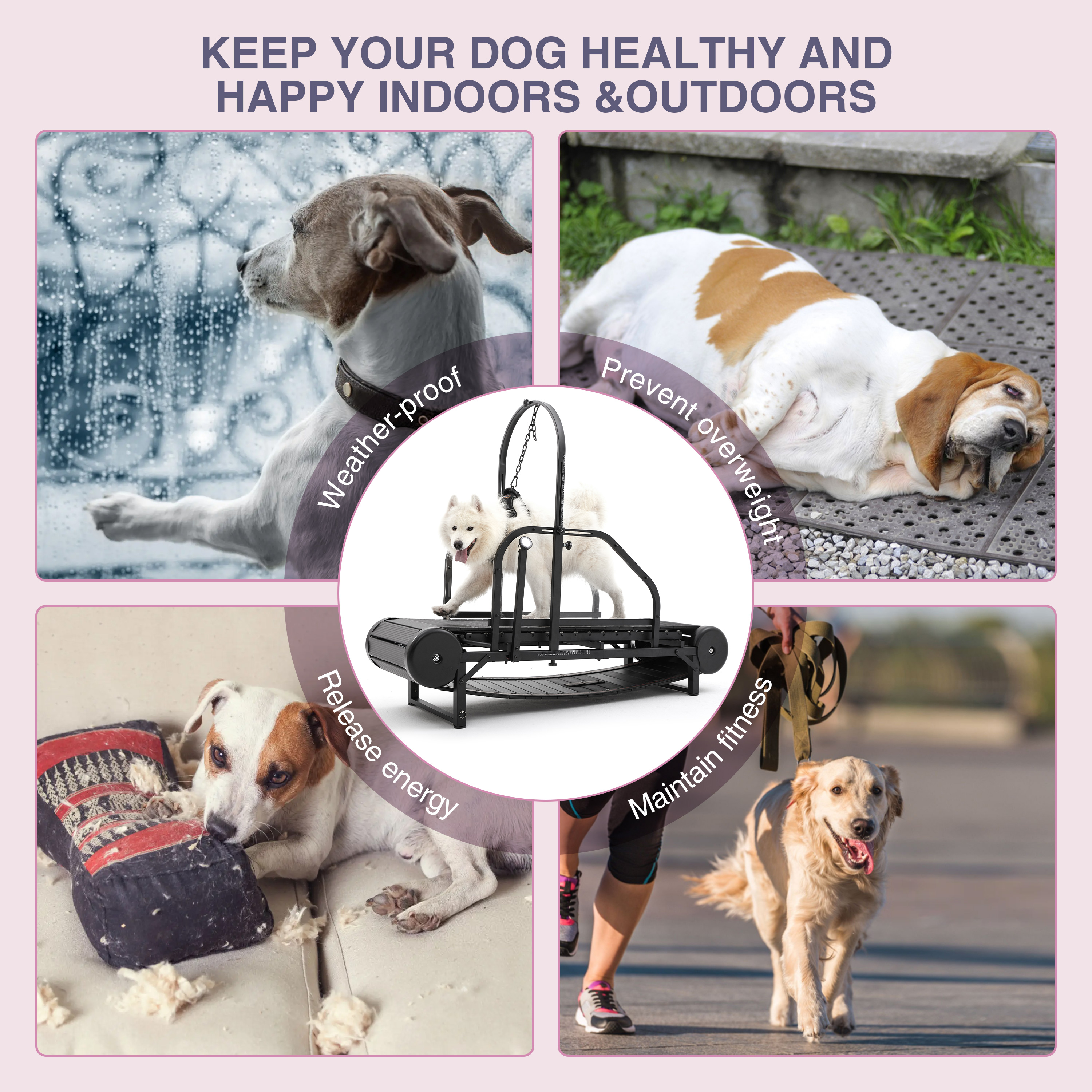 Larger Non-electric Equipment Dog Apparel Heavy Duty Running Fiess Treadmill Walking hines Unpowered Run Pet Dogs