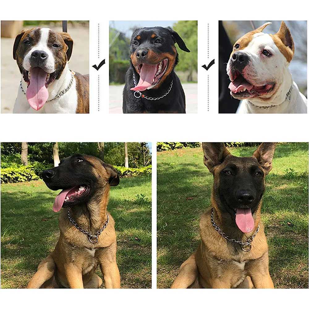 Dog Choke Collar Chew-proof Metal Dog Slip Chain Pinch Collars for Small Medium Large Dogs Training Obedience Pet Chain Collar W250219