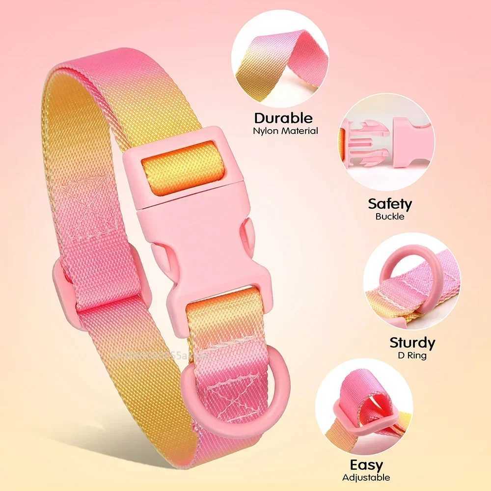 Nylon Dog Collar Adjustable Cat Small Dog Collars Gradient Pet Necklace Fashion Collars Accessories for Small Medium Large DogsXJ250218