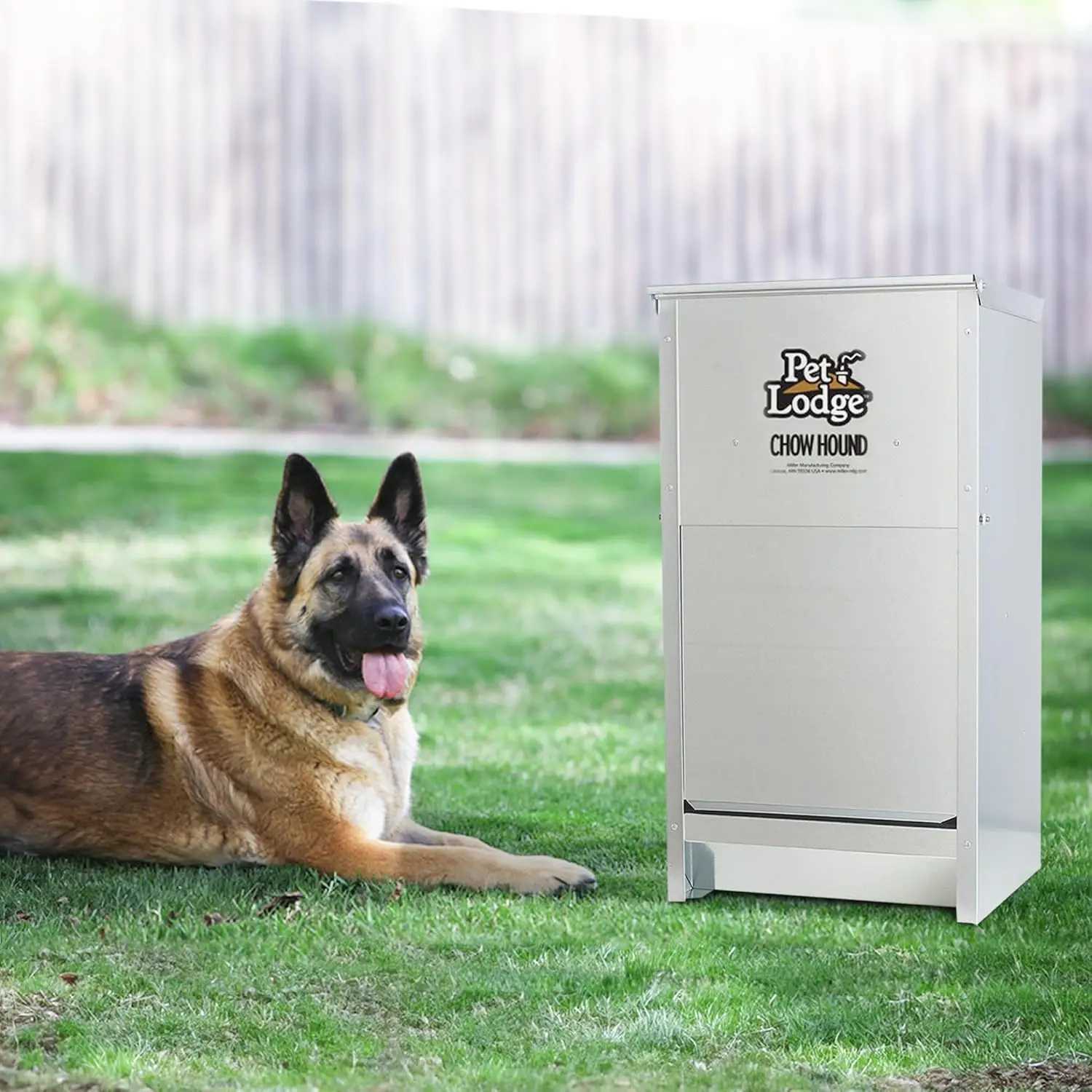 Dog Feeders Chow Hound 25 Pound Capacity Indoor and Outdoor Automatic Heavy Gauge Steel Dry Food Dog Feeder with Magnetized Door (4 Pack) H250218