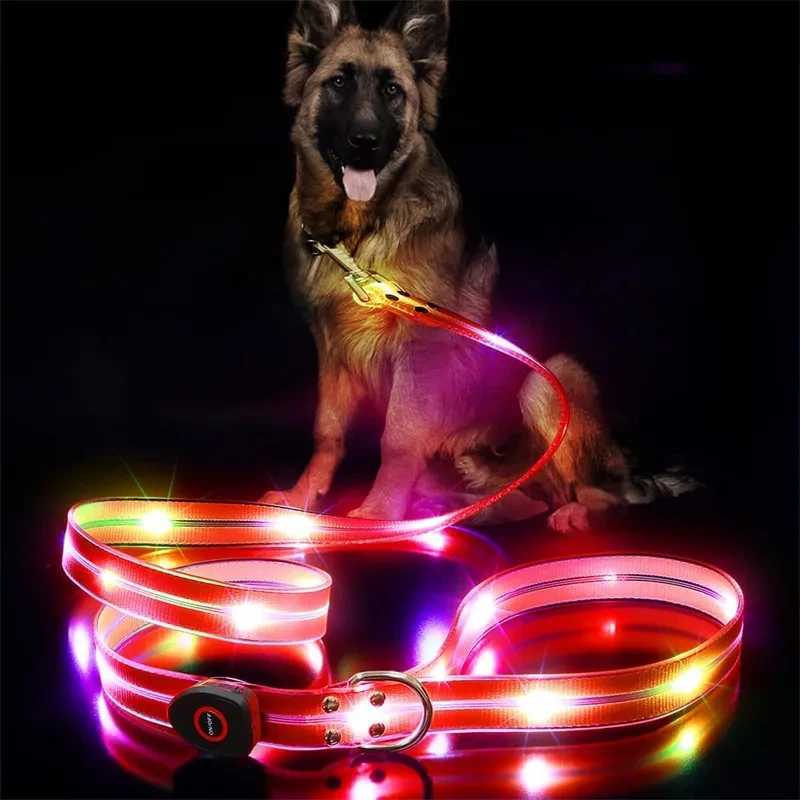 Led Light Up Dog Leash Walking Safety Glow in The Dark USB Rechargeable Adjustable for Large Medium Small Pet Lighted Dog CollarXJ250218