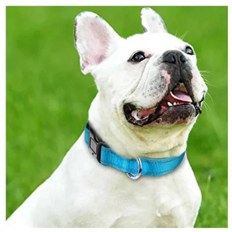Dog Collar Nylon Soft Padded Adjustable Breathable Durable Comfortable Reflective Pet Collar for Small Medium Large Dog Bone Tag W250219
