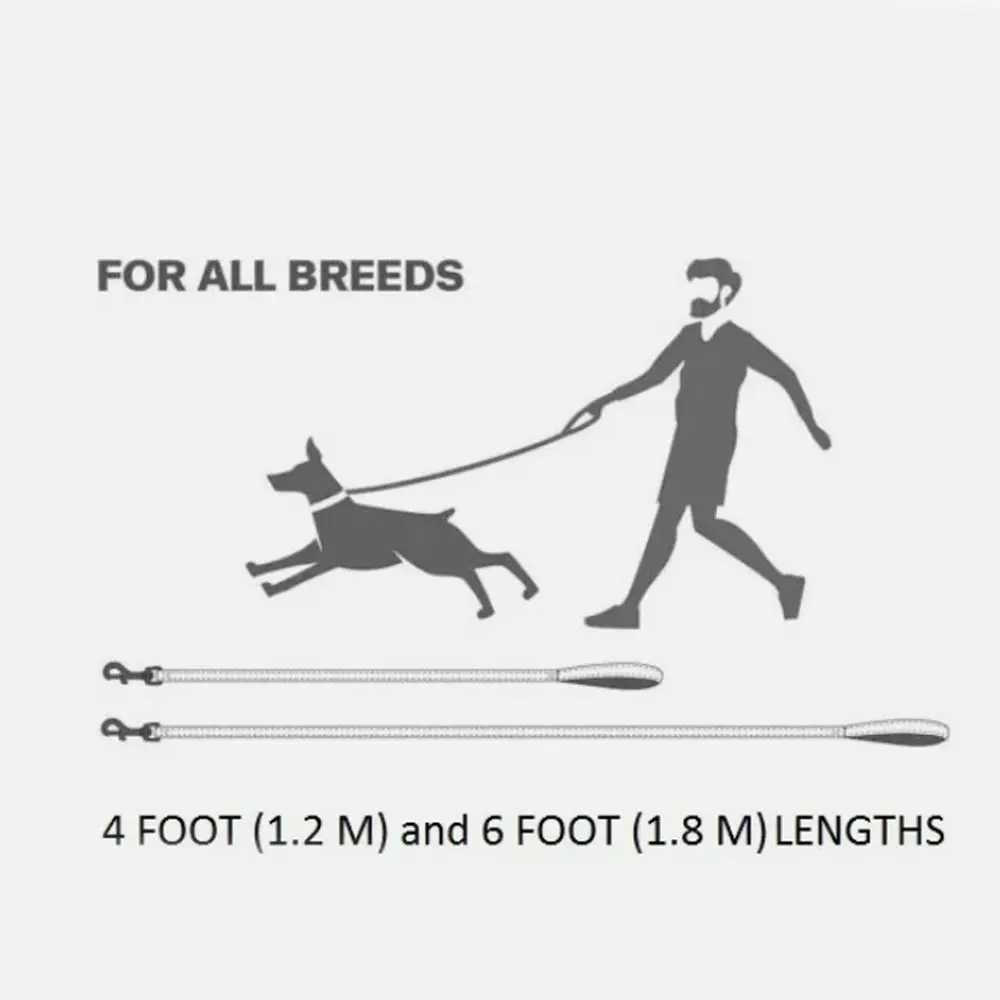 Hot Nylon Dog Lead Reflective Handle Dog Training Lead Comfort Strong Padded Tracking Leash for DogXJ250218