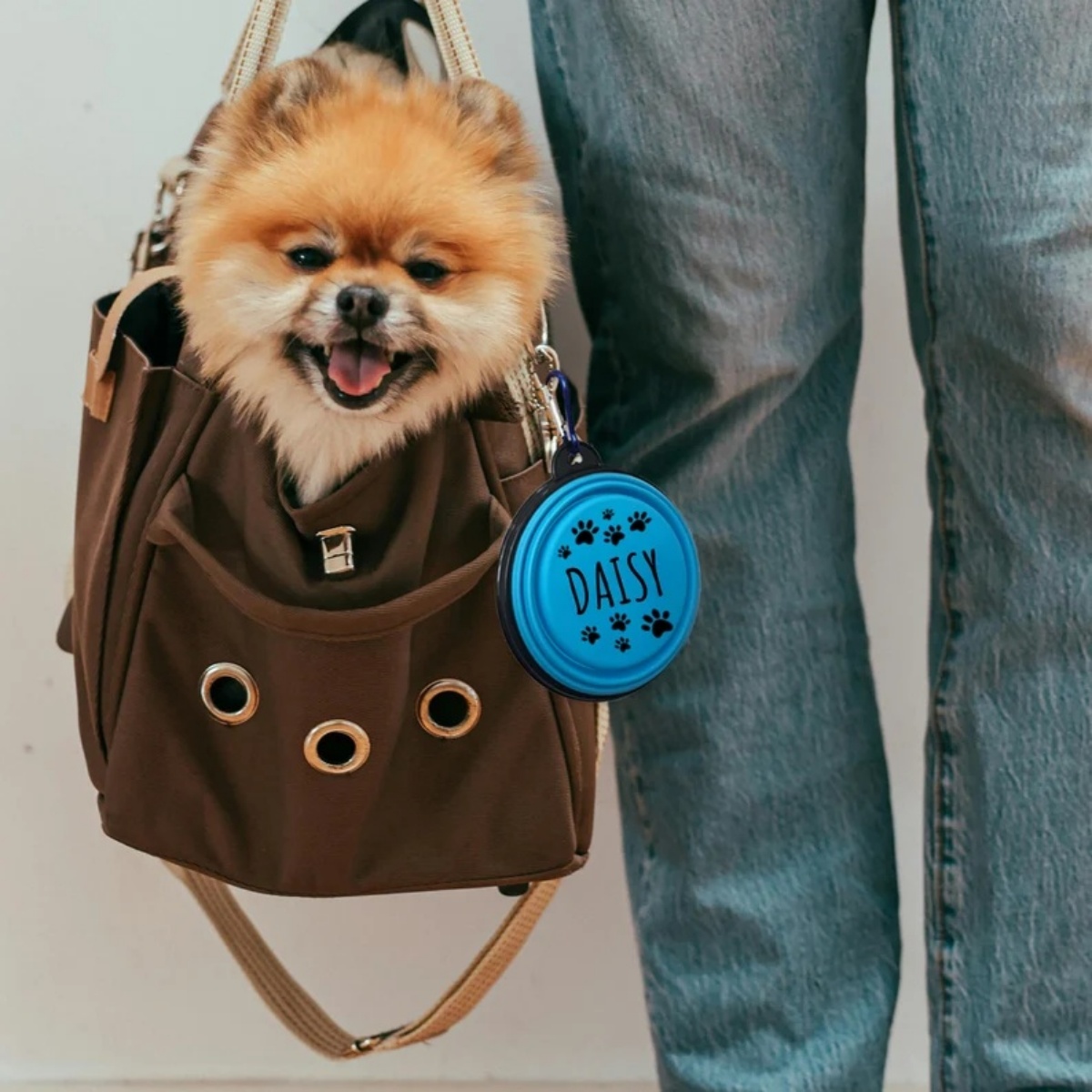 Personalized Silicone Foldable Travel Dog Bowl - Collapsible Water & Food Containers-350ml
