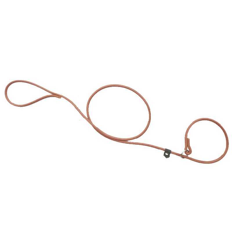 Pet Dog Leash Cowhide Collar Traction Integrated P-chain Dog Leash Is Used To Train Puppy P-chain Pet SuppliesXJ250218