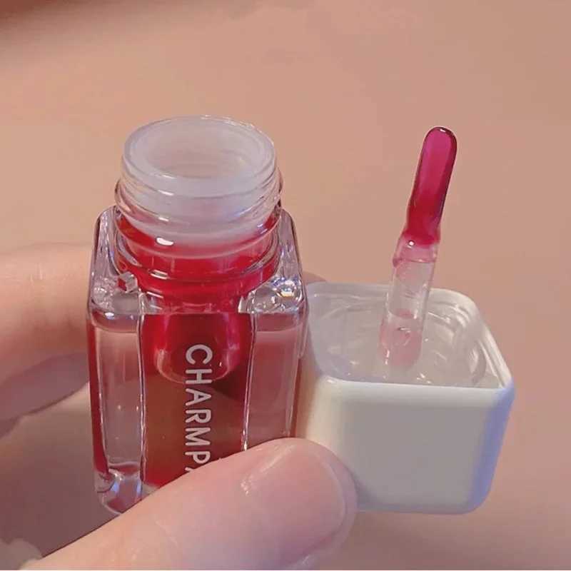 Moisturizing Lipglaze Anti-liplines Lipgloss Lips Makeup Set Transparent Lip Tint Anti-drying Lip Balm Mirror Lipstick CosmeticsW250219