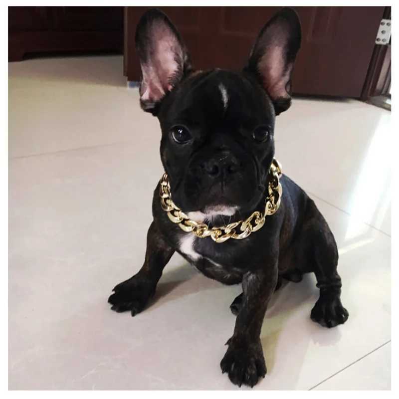 Gold plated plastic collars for dogs electroplated dog chains for bullfighting fashionable jewelry dog accessories for bullfighting W250219