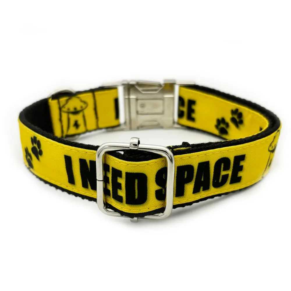 Personalized Pet Collar Warning Sign DO NOT PET I Need Space Custom Puppy Cat Name ID Tag Adjustable Basic Dog Collars W250219