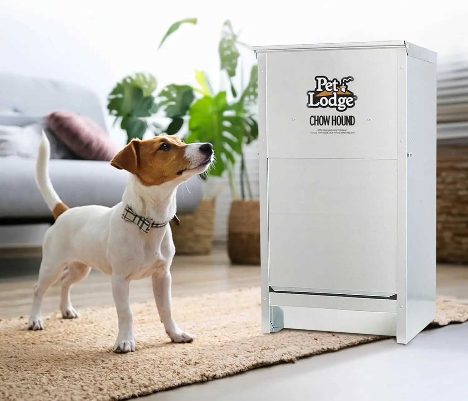 Dog Feeders Chow Hound 25 Pound Capacity Indoor and Outdoor Automatic Heavy Gauge Steel Dry Food Dog Feeder with Magnetized Door (4 Pack) H250218