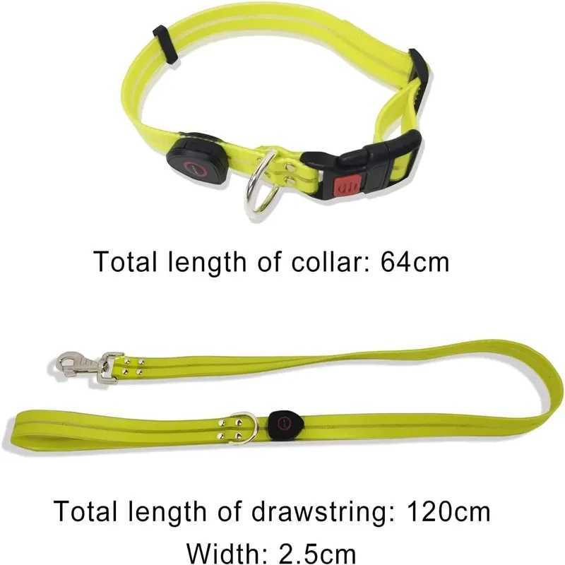 Led Light Up Dog Leash Walking Safety Glow in The Dark USB Rechargeable Adjustable for Large Medium Small Pet Lighted Dog CollarXJ250218