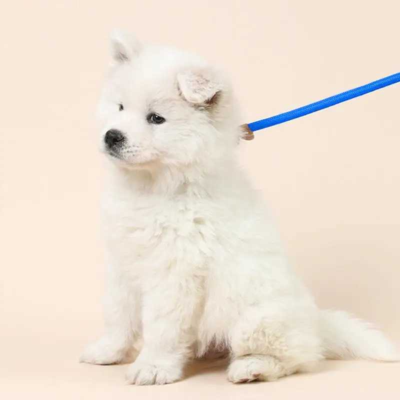 Dog Slip Lead Anti-Wear Comfortable Slip Leashes Training 1.5m Woven Lead Rope Dog Accessories For Dog Walking Training RunningXJ250218