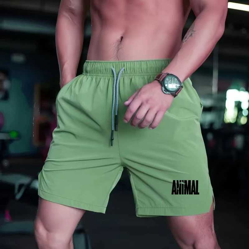 Men's Shorts 2024 New Summer Mens Shorts Quick Dry Nylon Fitness Training Running Sports Shorts Men Plus Size Workout Gym Short Pants z250219
