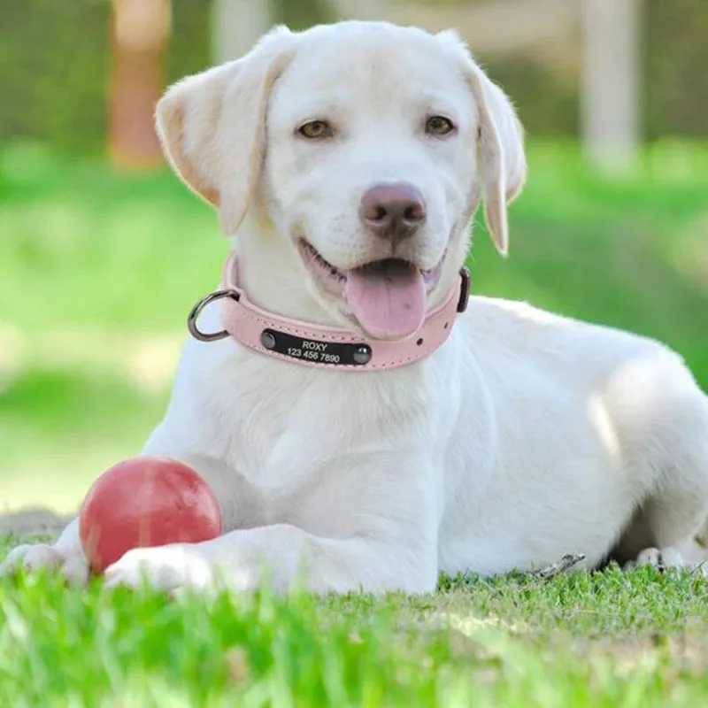 Personalized Dog Collar Custom PU Leather Dog Collar For Small Medium Large Dogs Cats Free Engraved Name ID Tag Pet Dog CollarsXJ250218