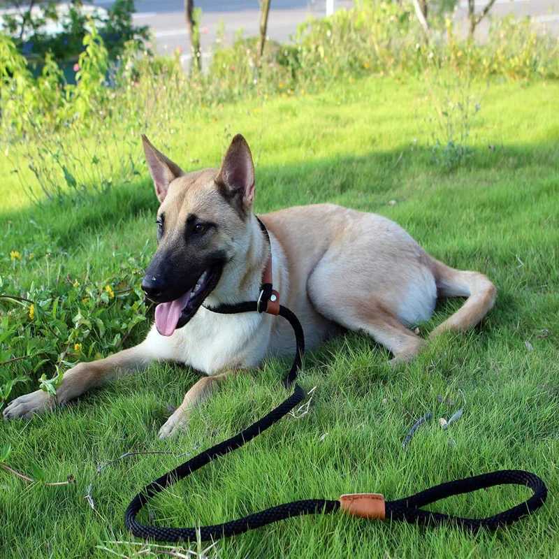Dog Collar Slip Lead Dog Leash Nylon Solid Rope Leash Adjustable No Pull Training Dog Leash Medium And Large Dogs Pet LeashesXJ250218