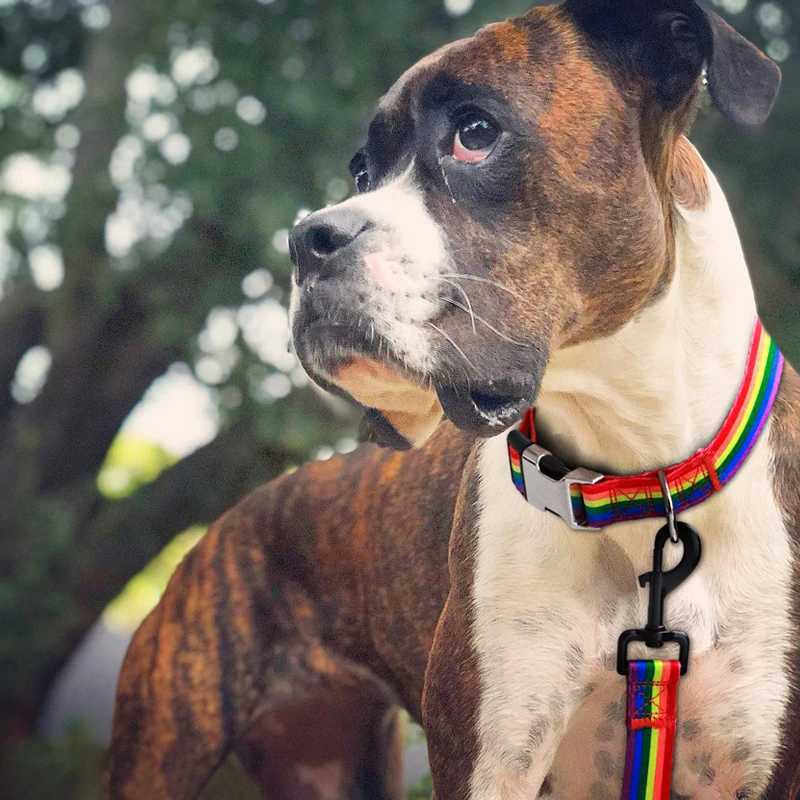 Forest Pattern Collar Pet Accessories Pet Stripes Polyester National Wind Dog Rope Adjustable Nylon Dog Collar Personzed W250219