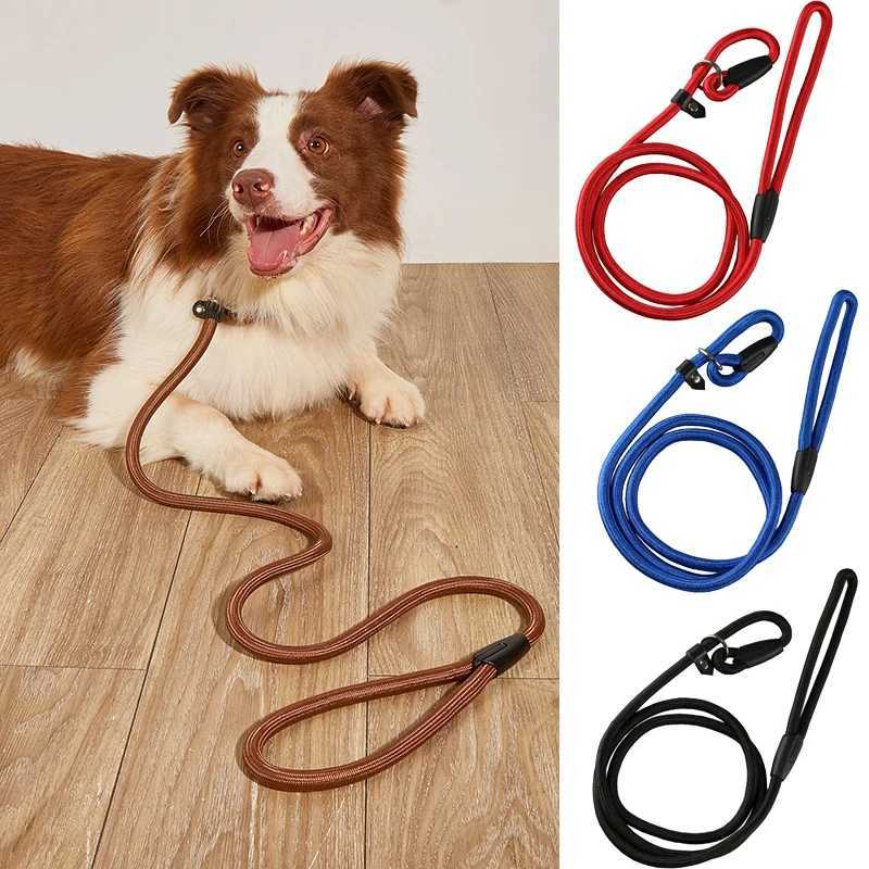 Nylon Dog Training Leash P Chain Pet Outdoor Walking Supplies for Small Medium Dogs Border Collie Golden Retriever PuppyXJ250218