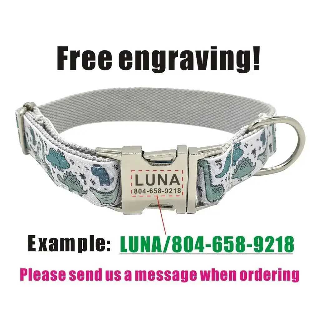 Personalized Dinosaur Pet Collar Custom Puppy Name ID Tag Adjustable Basic Cartoon Dog Collars Free EngravingXJ250218