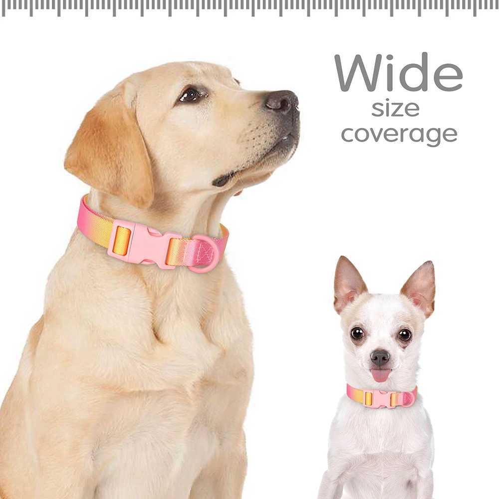 Gradient Color Puppy Dog Collar Adjustable Durable Nylon Dog Collar for Small Medium Large Dogs Yorkie Terrier Pet Accessories W250219