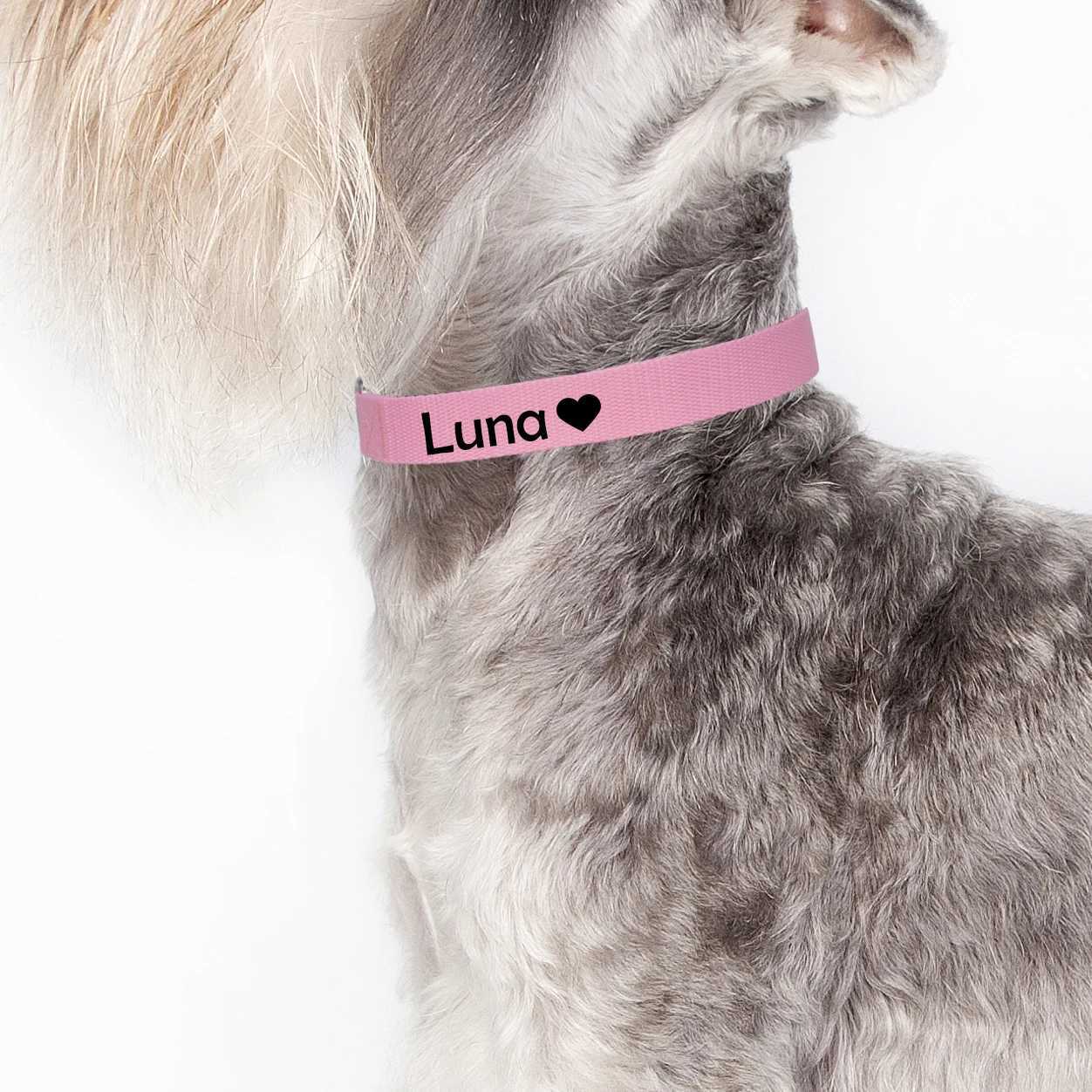 Custom Dog Collar Pet Personalized ID Collar Name and Phone Number with Cute pattern Nylon Necklace Small Medium Large Acessory 250205