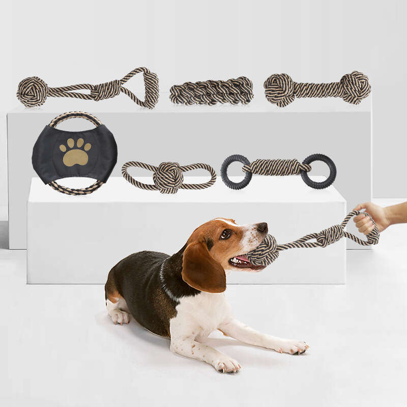 DHpet Dog Rope Toy for Active Chewers Heavy Duty Rope Toy for Small Breed Washable Chew Toys Tug of War Dog Toy Pack of 6 Puppy Teething Toys