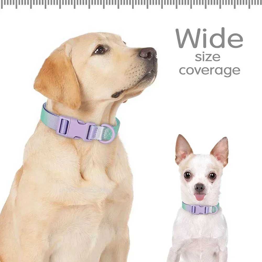Nylon Dog Collar Adjustable Cat Small Dog Collars Gradient Pet Necklace Fashion Collars Accessories for Small Medium Large DogsXJ250218