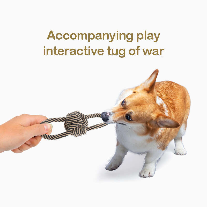 DHpet Dog Rope Toy for Active Chewers Heavy Duty Rope Toy for Small Breed Washable Chew Toys Tug of War Dog Toy Pack of 6 Puppy Teething Toys