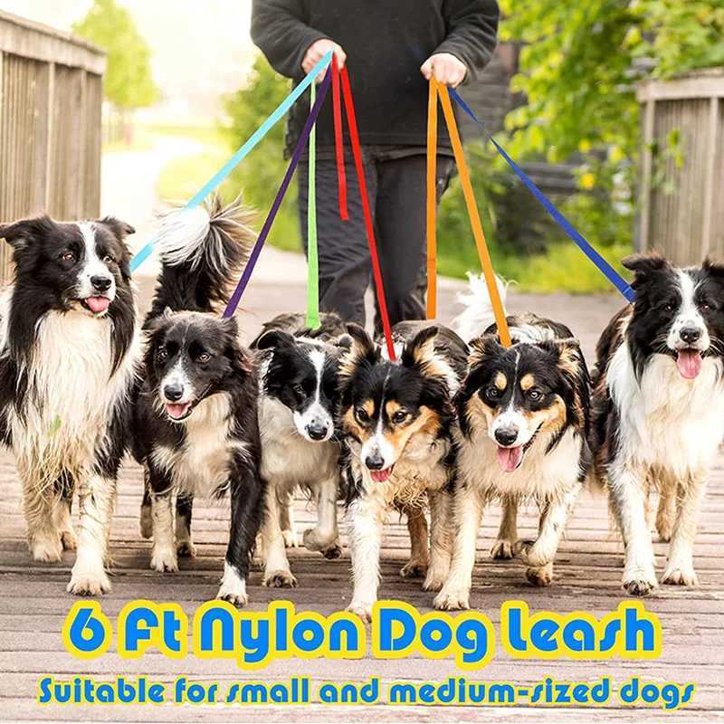 Overlength Dog Leash Durable Nylon Puppy Lead for Small Medium Large Dogs Walking Training Camping Backyard Accesorios Dog ChainXJ250218