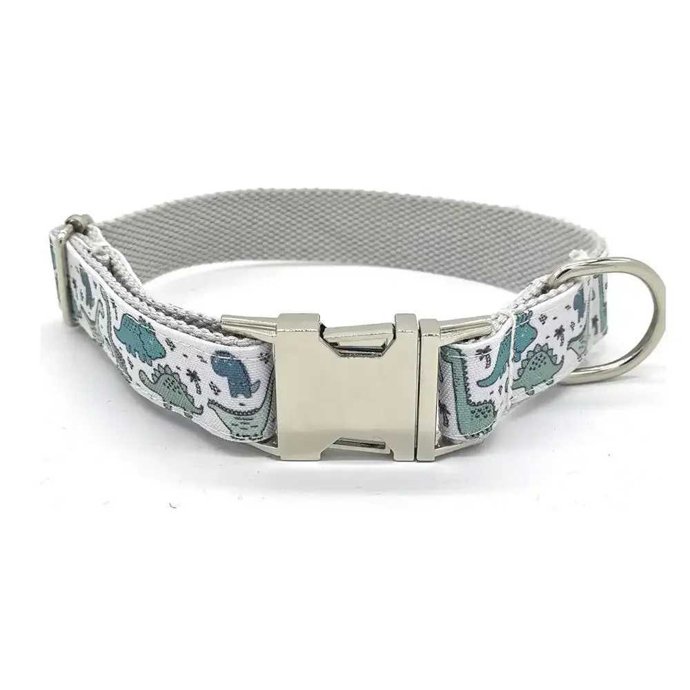 Personalized Dinosaur Pet Collar Custom Puppy Name ID Tag Adjustable Basic Cartoon Dog Collars Free EngravingXJ250218