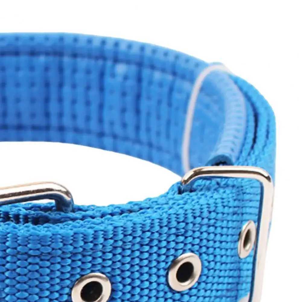 Adjustable Dog Collars Nylon Dog Neck Circle Durable Sturdy Puppy Neck Strap for Small Medium Large Dog Pet Supplies W250219