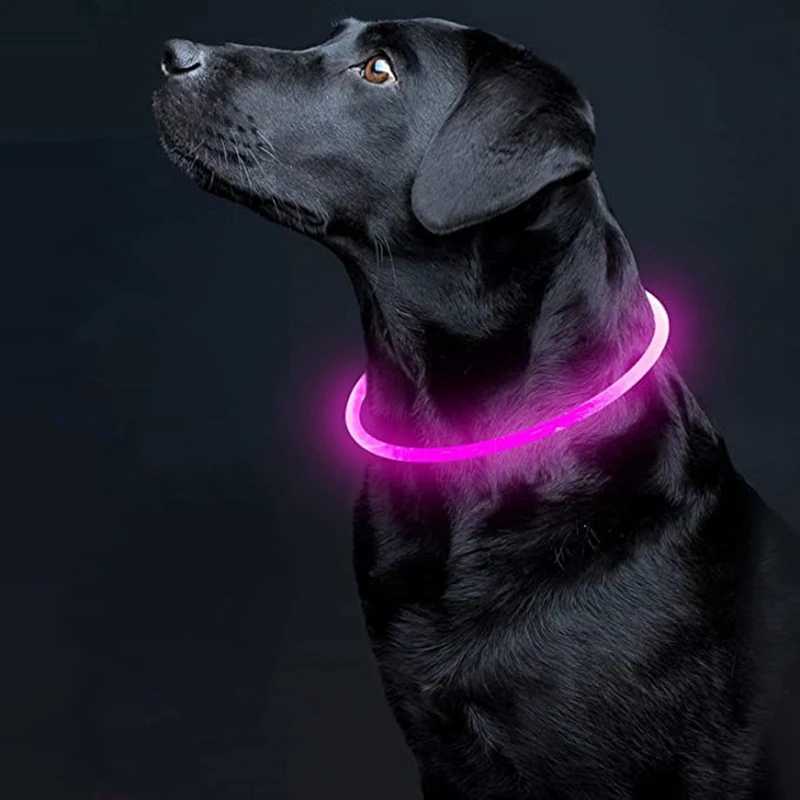 1pc Led Light Dog Collar Detachable Glowing Usb Charging Luminous Leash For Pet Dog Products Usb Charge Luminous Pet AccessoriesXJ250218