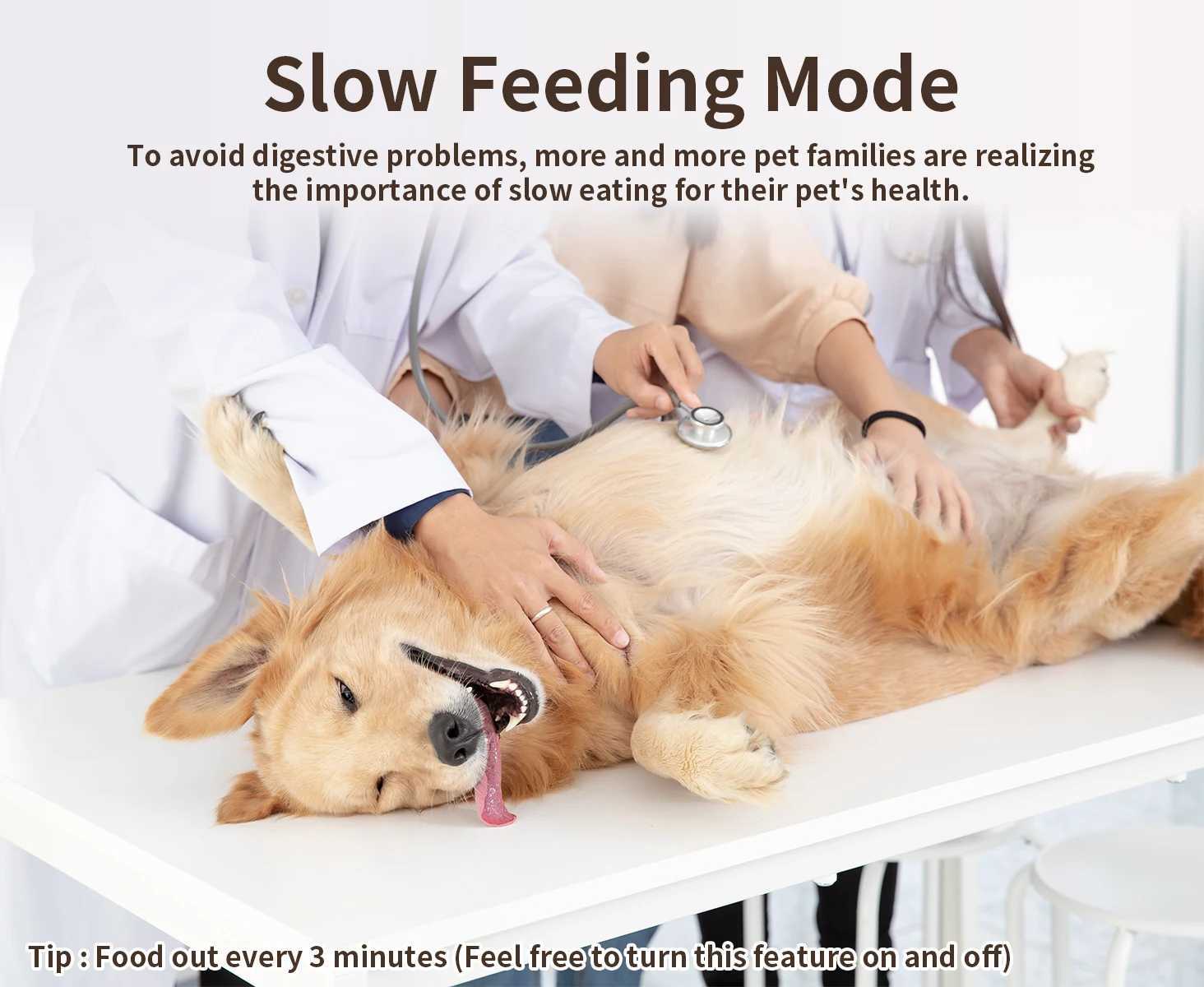 Dog Feeders PAPIFEED Smart Automatic Cat Feeders WiFi Pet Feeder with APP Control for Remote Feeding Detachable for Easy Clean Cat Food H250218