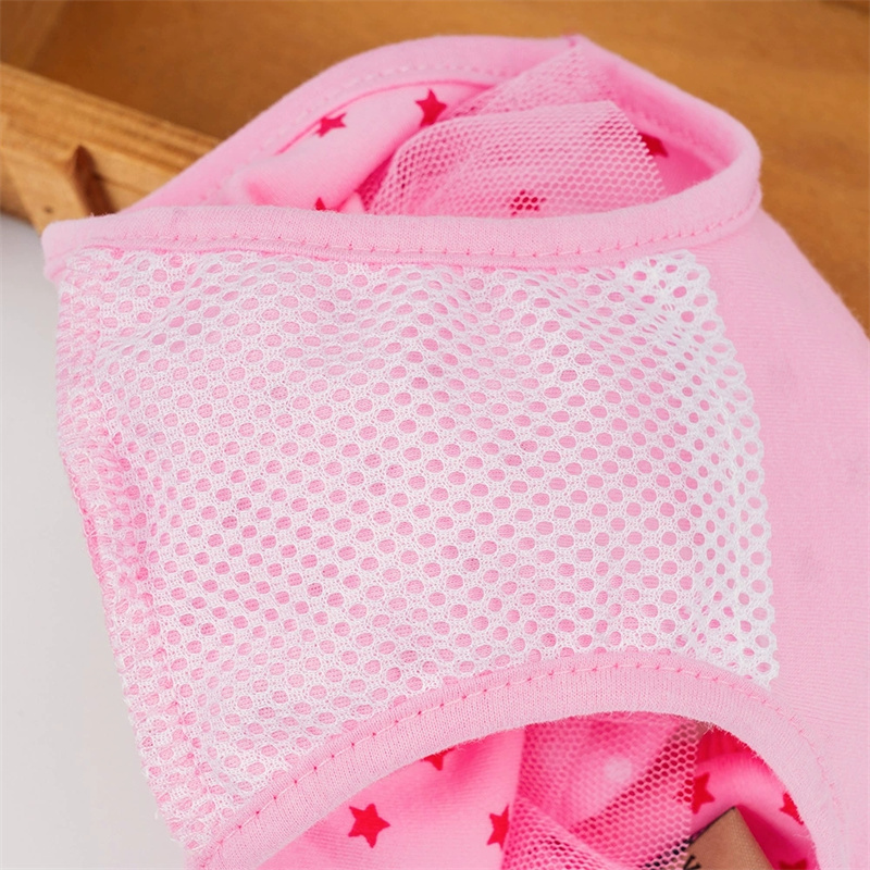 Adorable Cartoon Design Pet Sanitary Panty with Lace and Bow for Small Dogs - Multipurpose Menstrual Diaper