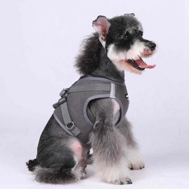 Mesh Cloth Dogs Harness With Leash Adjustable Harness Vest Breathable Collars For Small Large DogsXJ250218