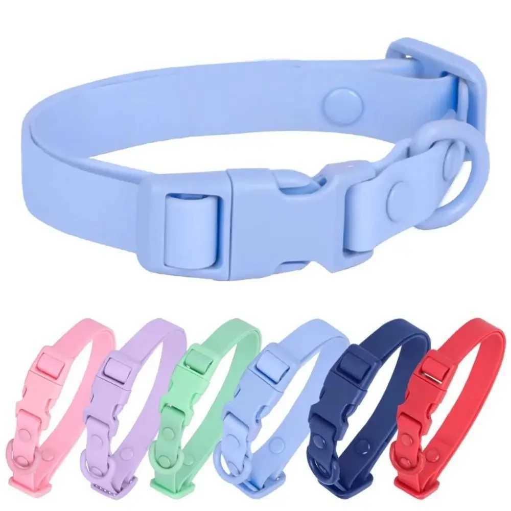 Elastic Webbing Pet Collar Pet Identification Adjustable Waterproof Dog Collar No Pull Quick Release Buckle Safety Buckle Chain W250219