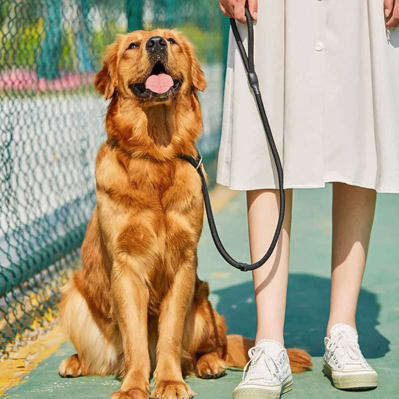 Nylon Dog Training Leash P Chain Pet Outdoor Walking Supplies for Small Medium Dogs Border Collie Golden Retriever PuppyXJ250218