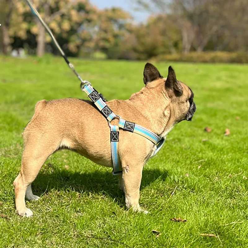 2m Long Dog Training Leash Pet Lead Non-Slip Rubber Nylon Training Walking Rope Work Dog Leashes For Small Medium Large Big DogsXJ250218