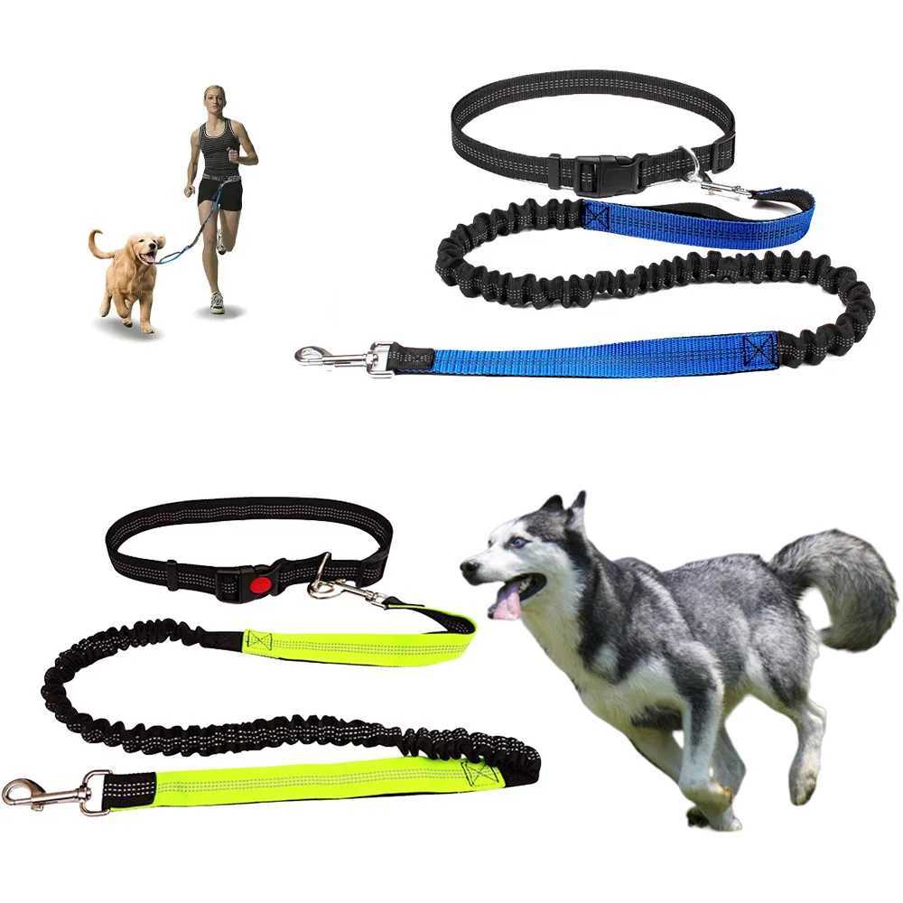Reflective Leash Traction Rope Pet Dog Running Belt Elastic Hands Freely Jogging Pull Dog Leash Metal D-ring Leashes HarnessXJ250218