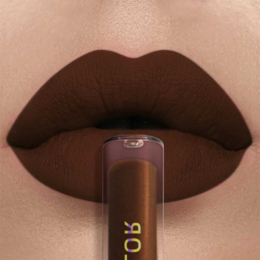 Rich pigment matte velvet brown lip color - non stick durable velvet smooth finish - moisturizing lip glue and lipstick MW250219