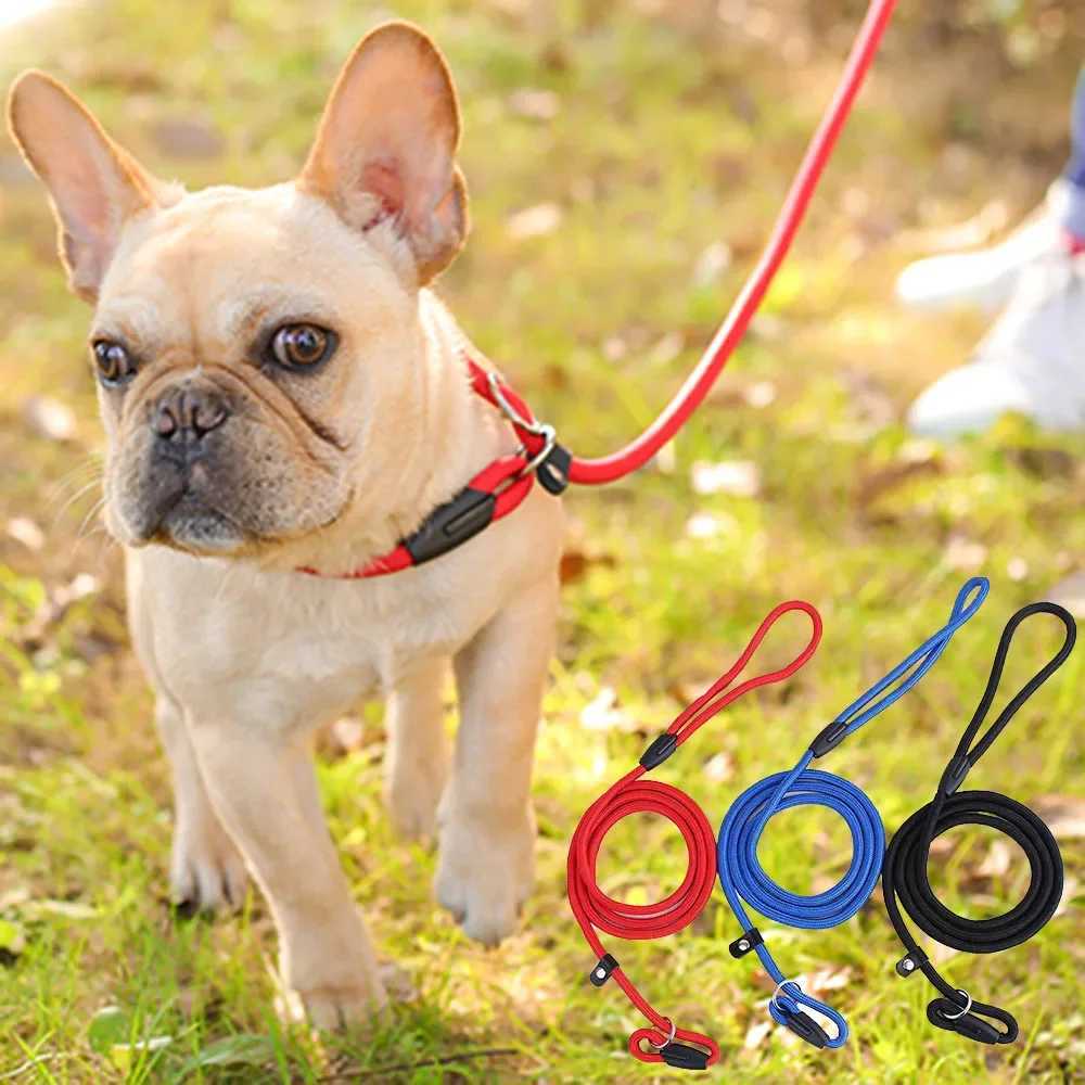 Slip Lead Dog Leash for Puppy Pet Small Dogs Training and Walking Nylon Rope Leash Anti-Choking P-sharped Dog Slip Chains CollarXJ250218