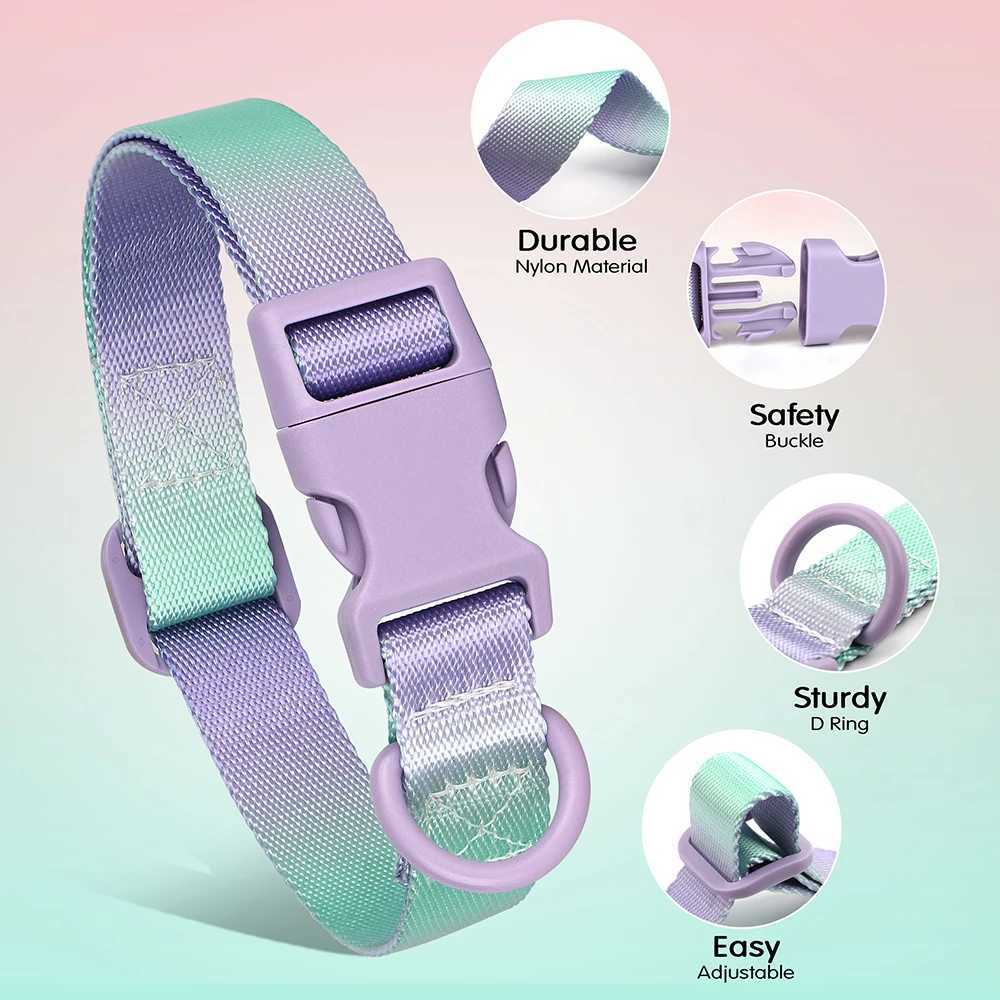 Gradient Color Puppy Dog Collar Adjustable Durable Nylon Dog Collar for Small Medium Large Dogs Yorkie Terrier Pet Accessories W250219