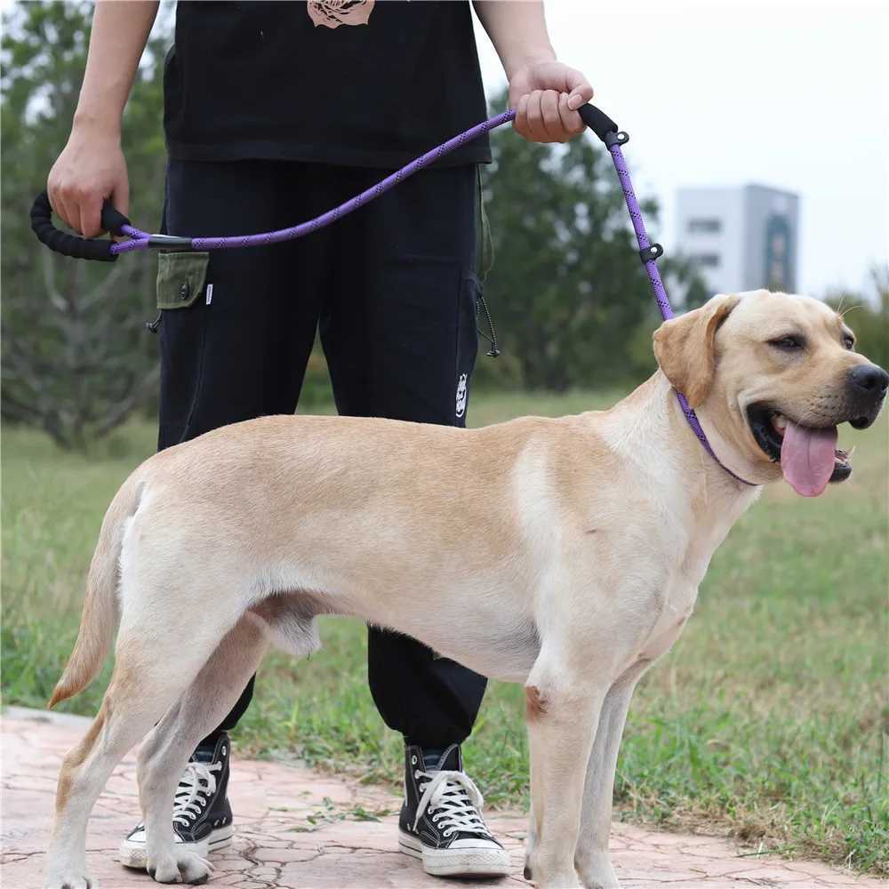 1.6M Reflective Rope Dog Lead Leash for Small Large Dogs Nylon Basic Leashes Dog Walking Big Dog CollarXJ250218