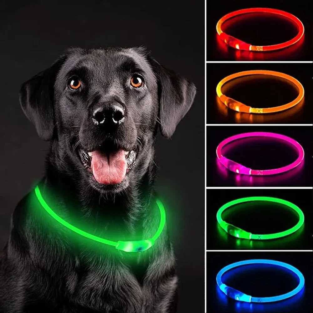 Led Dog Collar Luminous Usb Cat Dog Collar 3 Modes Led Light Glowing Loss Prevention LED Collar For Dogs Pet Dog Accessories W250219