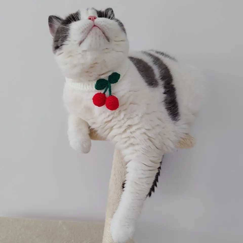 Cat Collars Adjustable Pet Collar With Cherry Handmade Knitted Cat Necklace Cute Collars For Cats Kittens Puppies Pet SuppliesXJ250218